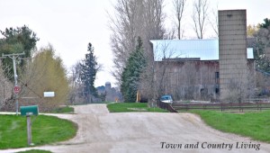 Kane County Country Road