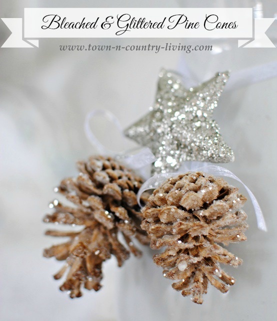 Bleached and Glittered Pine Cones
