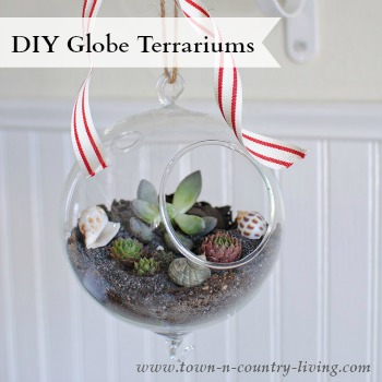 DIY Globe Terrariums via Town and Country Living