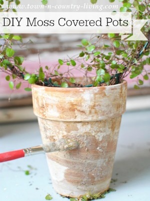 DIY Moss Covered Garden Pots
