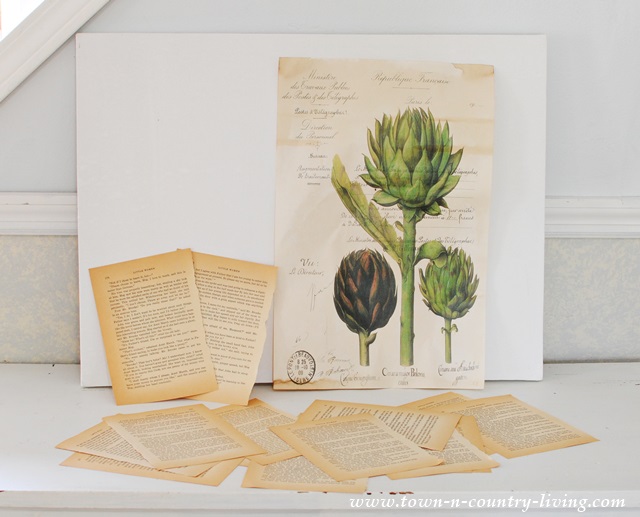 Craft Supplies for DIY Botanic Art Project