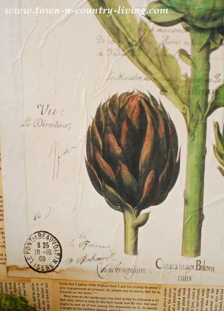 Details of botanic artichoke print