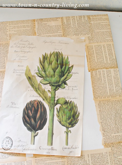 DIY Botanic Print Art Project