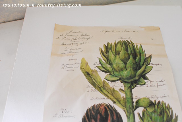 Position Botanic Print on Canvas before applying
