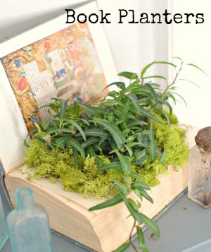 Book Planters