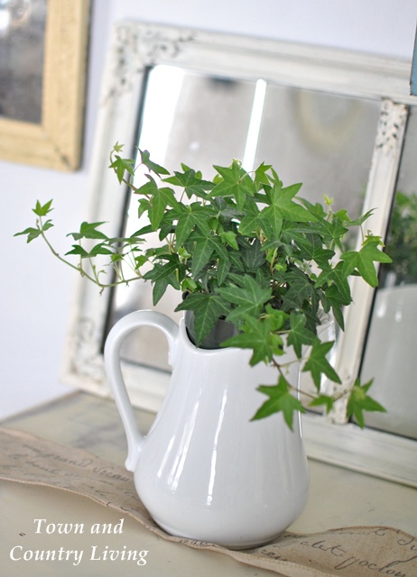 Green Ivy in Ironstone Pitcher