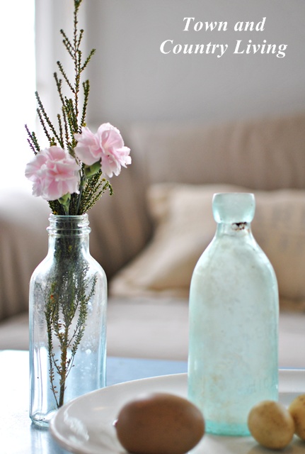 Pink Carnations and Aqua Bottles