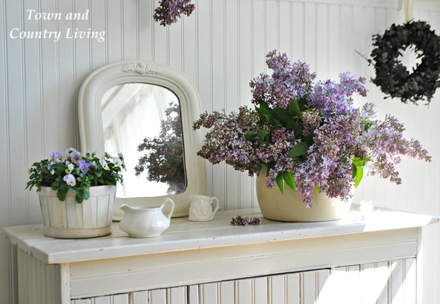 Lilacs in an Enamel Pot