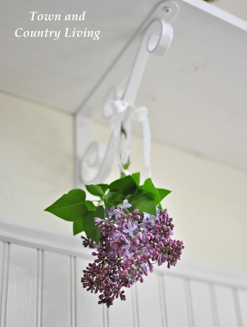 Hanging lilac bunch
