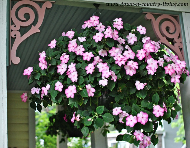 Hanging basket of impatiens on a summer farmhouse porch