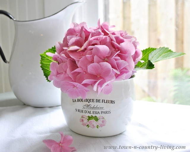 Pink hydrangea in a French enamel pot - Town and Country Living blog