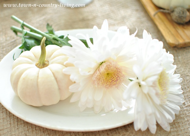 Football Mums for a natural Fall table setting via Town and Country Living