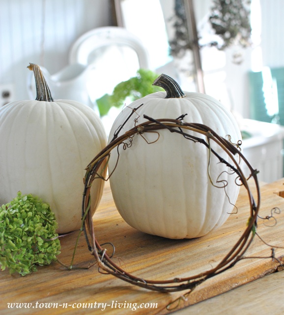 Grapevine wreaths to decorate pumpkins via Town and Country Living