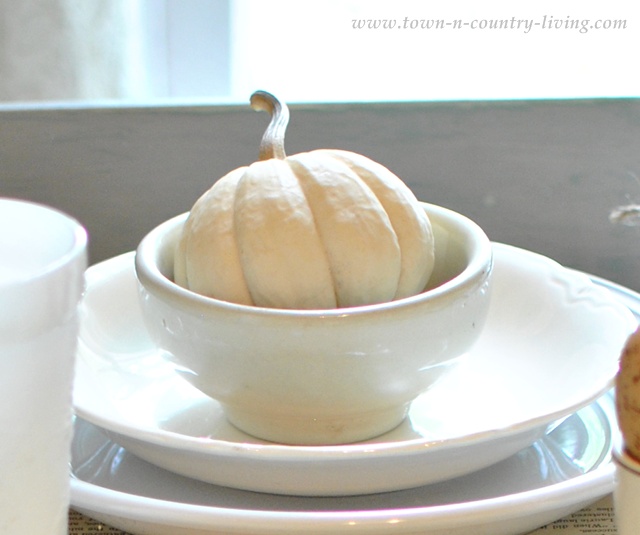 Baby Boo pumpkin in a white ironstone bowl via Town and Country Living