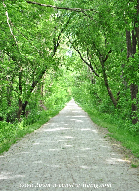 Great Western Trail at Leroy Oakes Forest Preserve