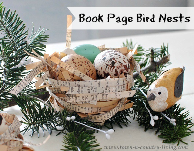 Book Page Bird Nests by Town and Country Living
