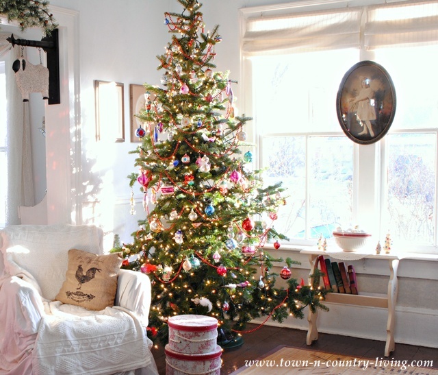 Charlie Brown Christmas Tree at Town and Country Living