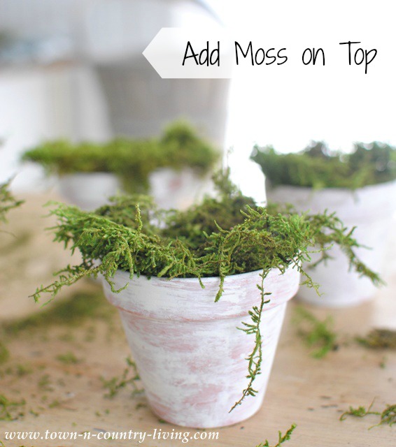 How to Make Mossy Pots by Town and Country Living