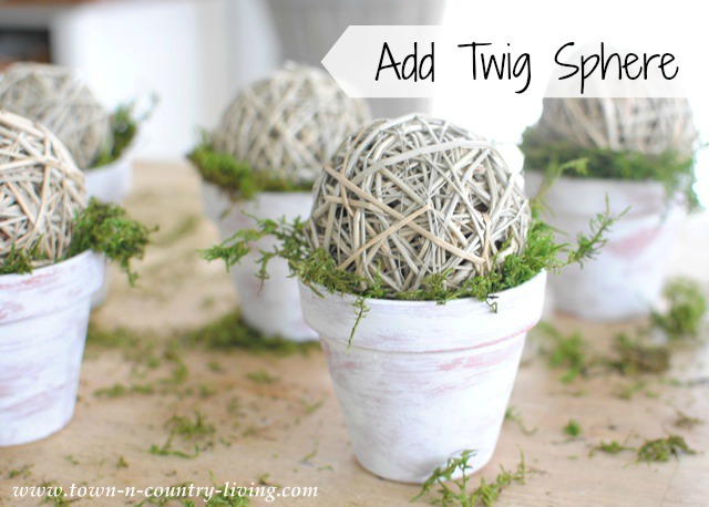 Twig Spheres on Mossy Pots 