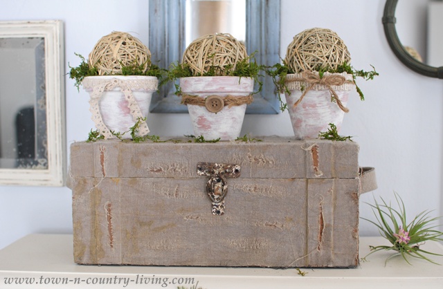 Trio of Mossy Pots at Town and Country Living