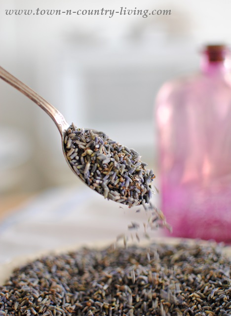 How to Make Lavender Potpourri
