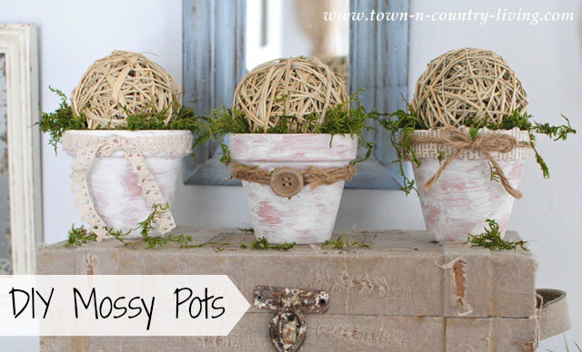 DIY Mossy Pots via Town and Country Living