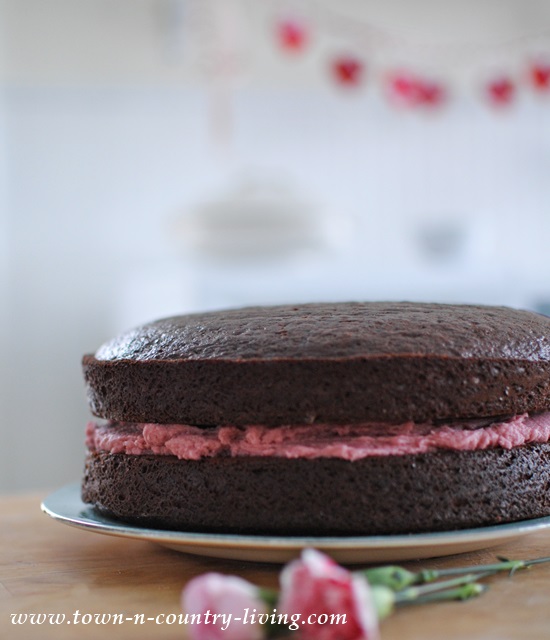 Dark Chocolate Cake with Raspberry Buttercream Frosting