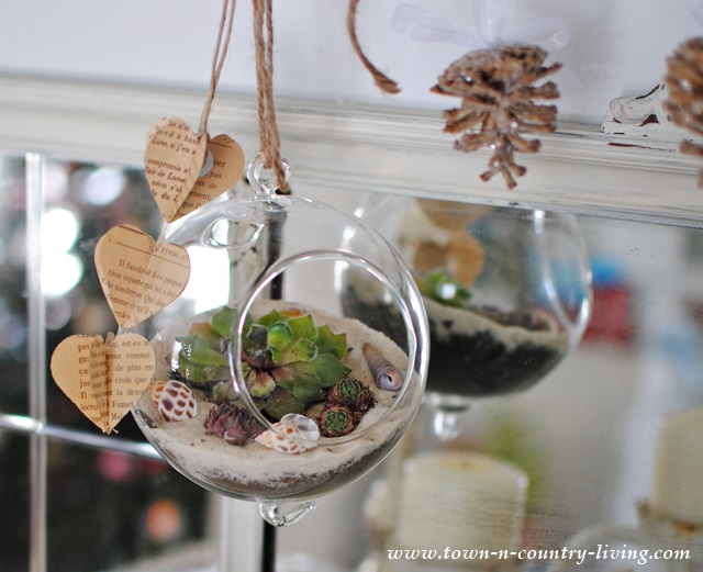 How to make your own hanging globe terrarium
