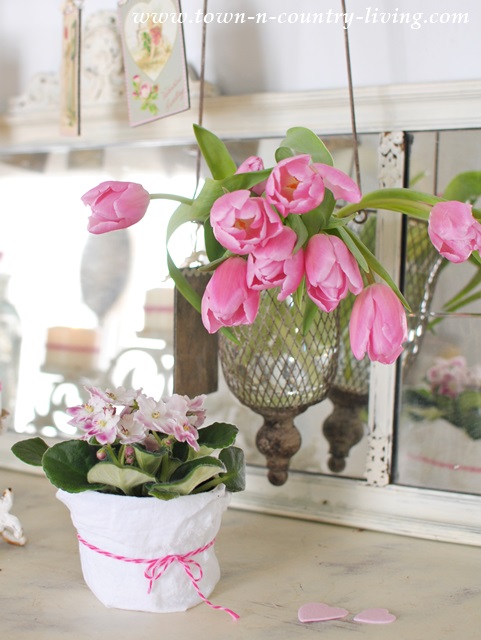 Pink Tulips and an African Violet 
