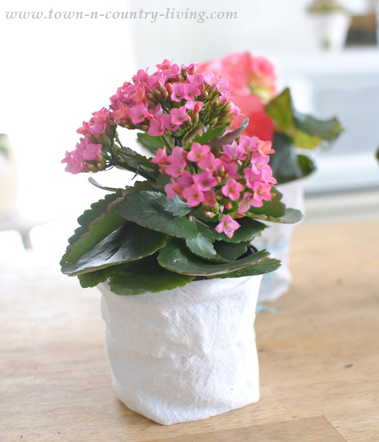 How to create a shabby chic garden pot