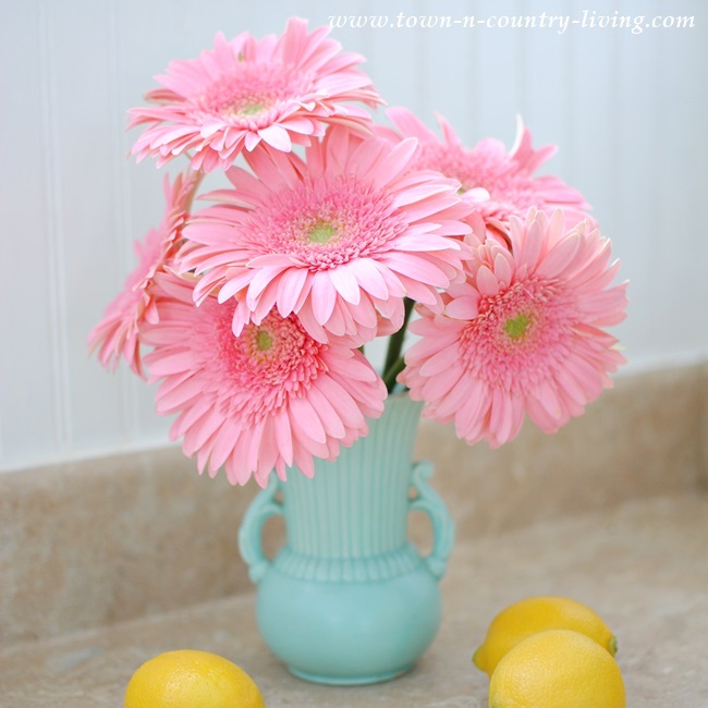 Pink Gerbera Daisies in an Aqua Vase