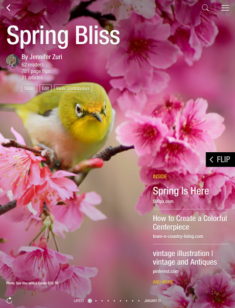 Spring Bliss Flipboard Magazine