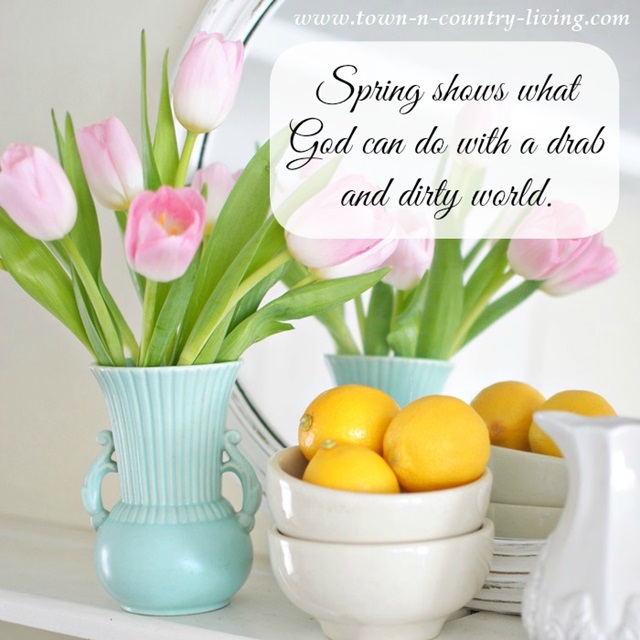 Spring-Quote