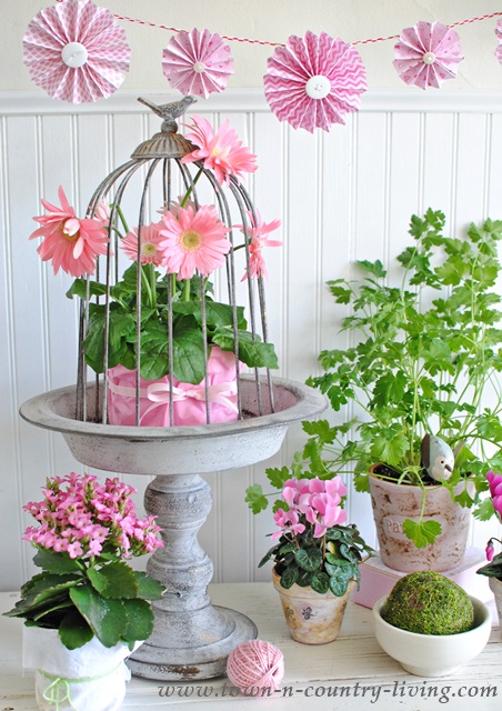 How to Create a Spring Vignette with Potted Plants