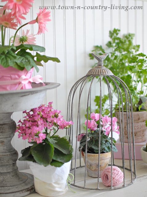 How to Create a Spring Vignette with Potted Plants
