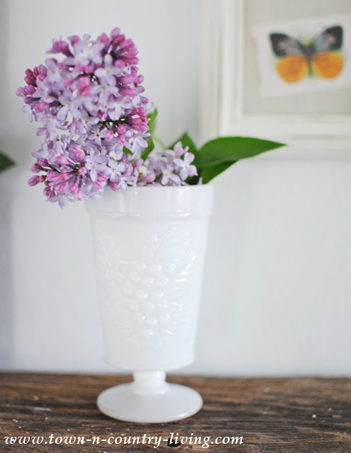 Lilacs in White Milk Glass