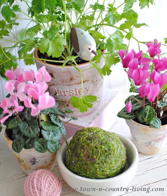Pink Flowers and Moss Ball Create Spring Vignette