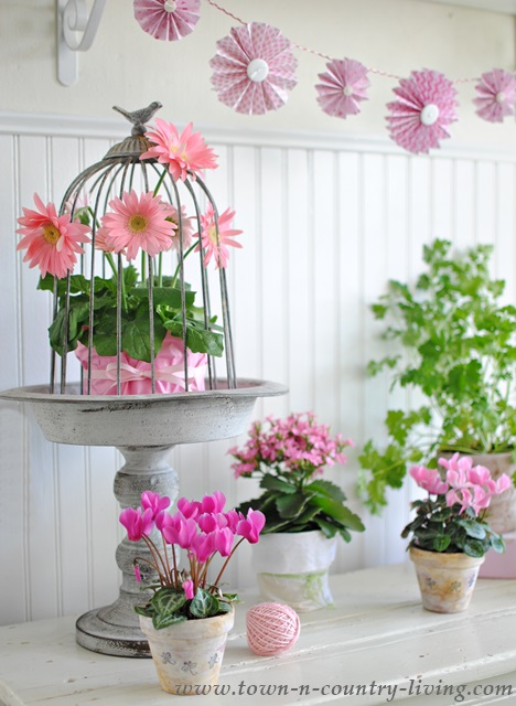 Potted Pink Spring Flowers and a Wire Bird Cloche
