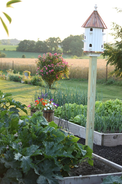 Vegetable Garden at Stone Gable Blog