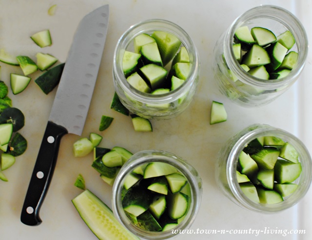 Cutting Cucumbers to make crunchy dill pickles