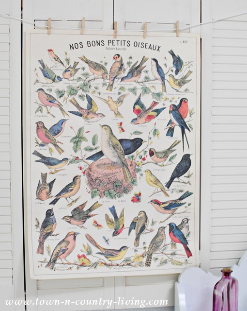 Flea Market Bird Poster