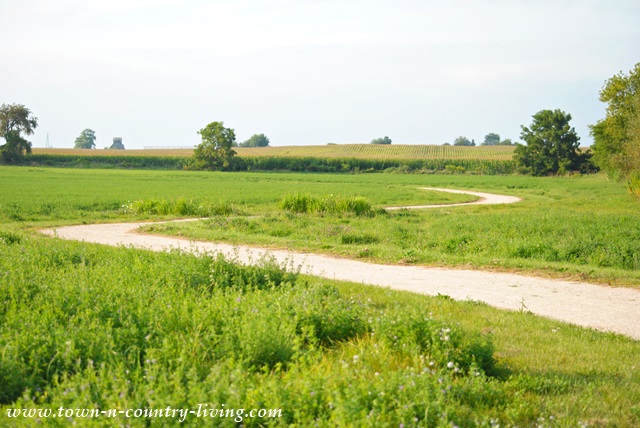 Gravel path through meadow to Elburn Forest Preserve in Illinois