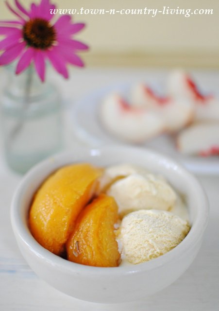 Honey Lavender Peaches served with Vanilla Bean Ice Cream. Mmm good!