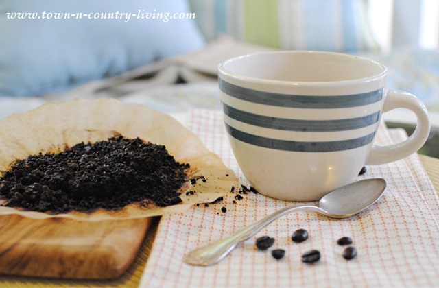 Using Coffee Grounds - Fertilize the Garden