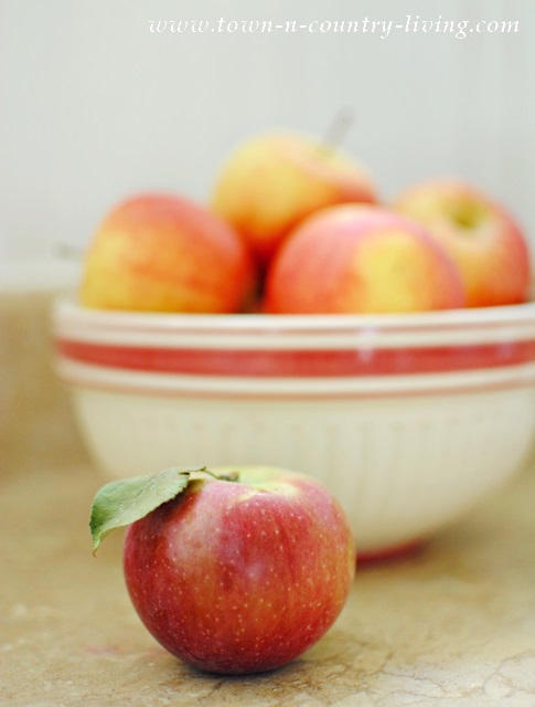 Gala Apples in a Vintage Bowl