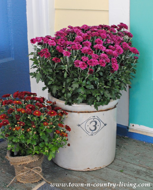 Place mums in a stoneware crock for instant country fall decorating style.