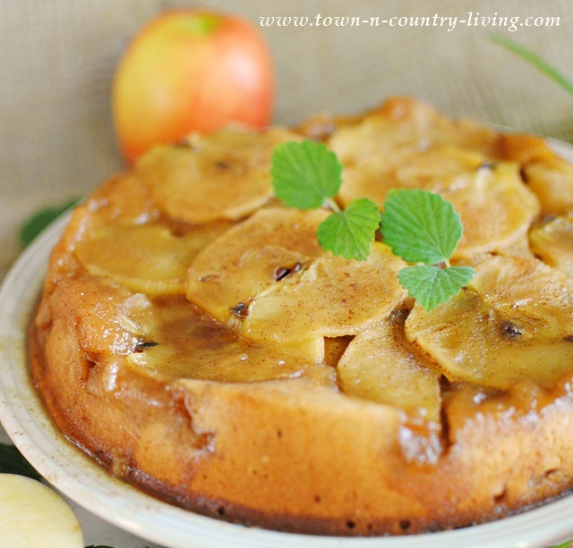 Yummy and Comforting Apple Upside Down Cake