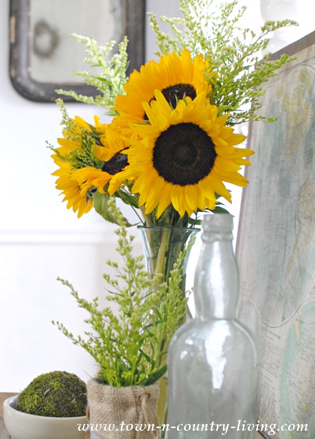 Late Summer Vignette with Sunflowers