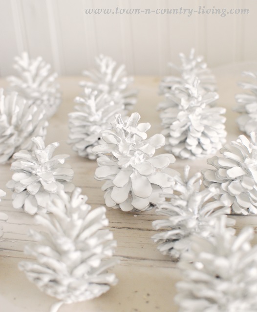Pine Cones Painted White and Set Out to Dry