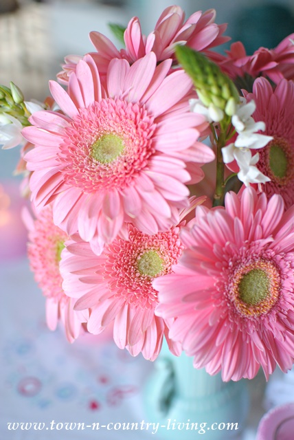 Bouquet of Pink Gerbera Daisies
